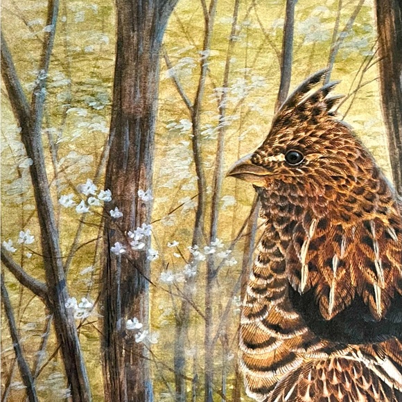John A Ruthven Signed & Numbered Ruffed Grouse Print 1994 Wildlife Art 312/1000 - Picture 4 of 8
